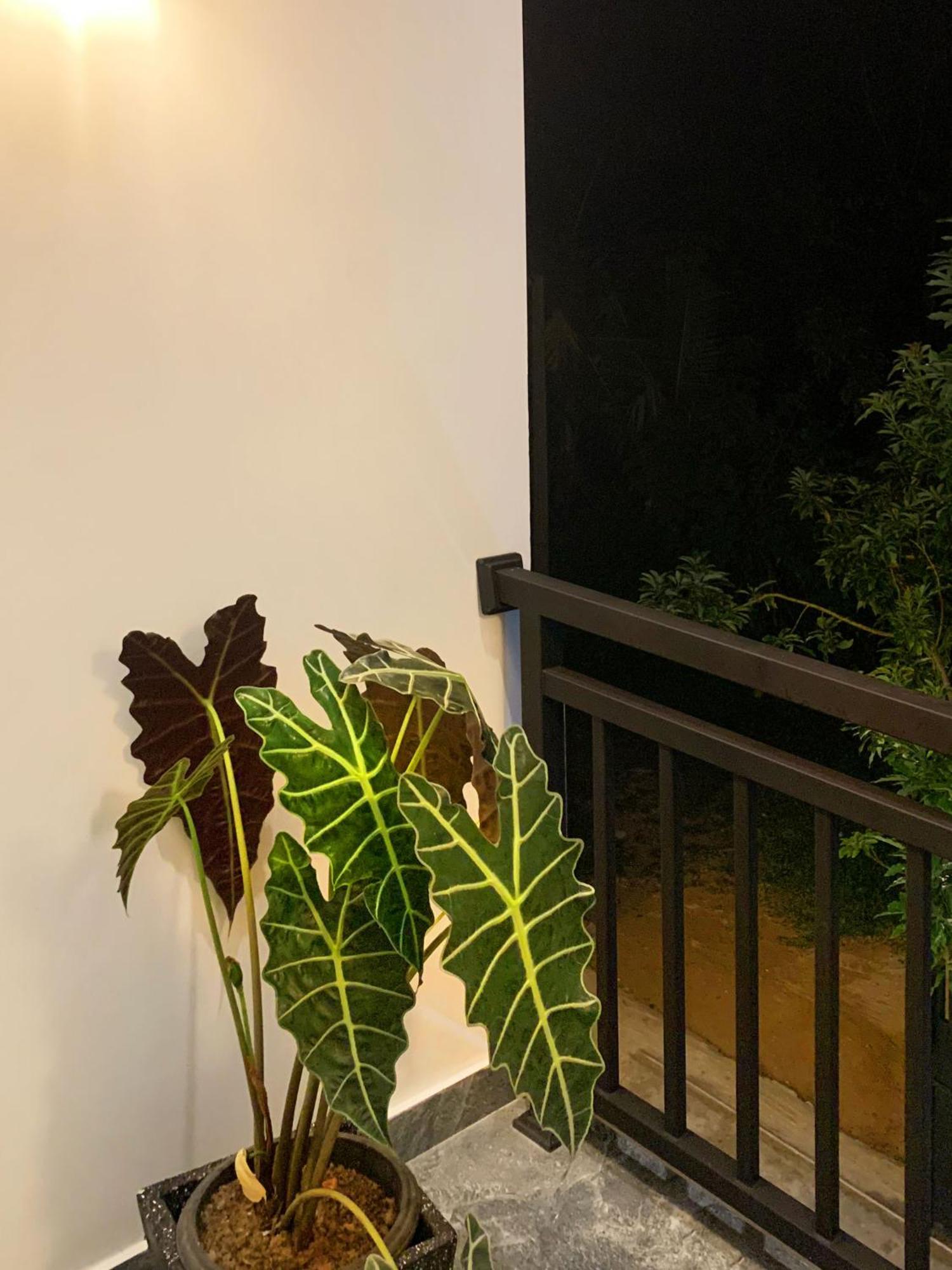 Golden Wave 호텔 아항가마 외부 사진